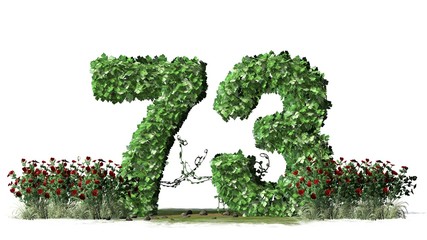 


Number 73, alphabet of green ivy leaves - isolated