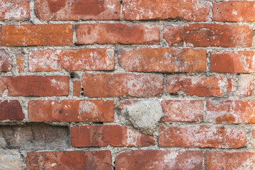 Obraz premium Red brick wall texture