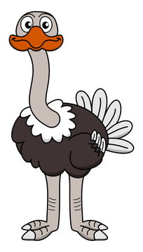 an ostrich looking ahead