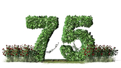 


Number 75, alphabet of green ivy leaves - isolated