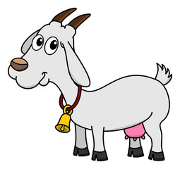 a dairy goat with a bell
