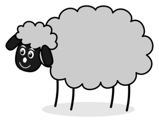 a grey sheep
