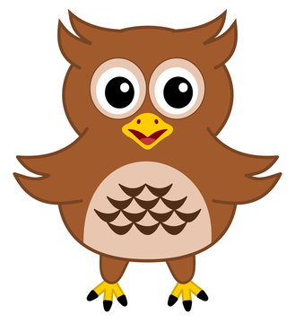 a happy brown owl