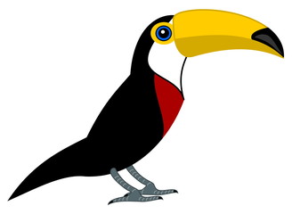 a parrot toucan's profile
