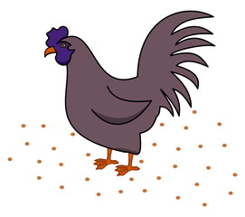 a hen of profile eating seeds