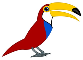 a parrot toucan's profile
