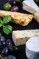 cheese selection on black slate with fresh herbs