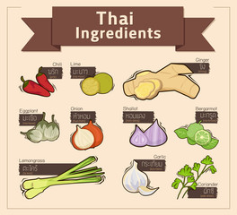 Thai Food Ingredients Vector