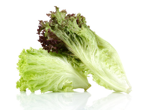 Lettuce