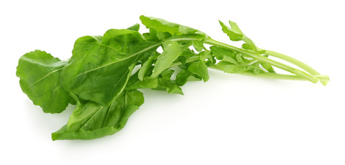 rocket leaf