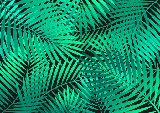 Green Palm Leaves Background