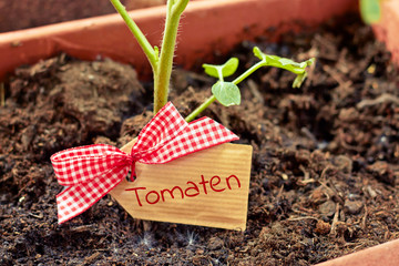 note for tomato plant - background