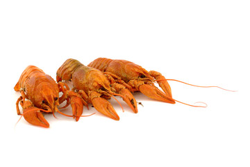 Три вареных рака 2