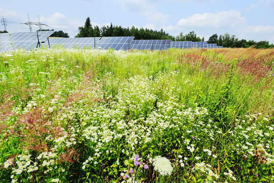 Detail of Solar Power Station on the summer flowering Meadow 