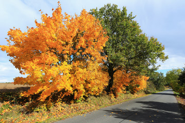 Beautiful autumn Landscape from the central Bohemia