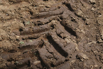 Tire footprint on the ground