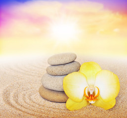 Fototapeta na wymiar Spa concept. Flower yellow orchid and stone.