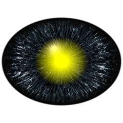 Isolated blue eye, iris around elliptic pupil, yellow retina.