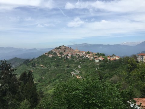 Bajardo