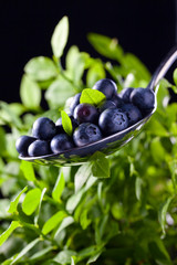 blueberry