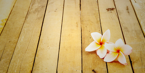 Fototapeta na wymiar Fresh flowers on wood