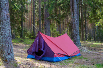 Camping sites with tents