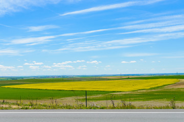 Obraz premium Green field on a background of blue sky with clouds
