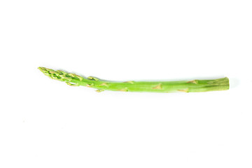 Asparagus on white background