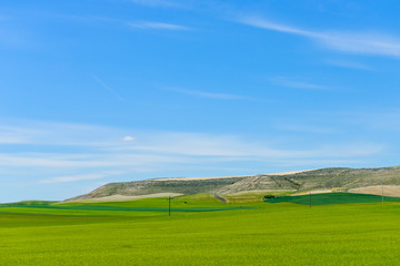 Fototapeta na wymiar Green field on a background of blue sky with clouds