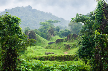 Fototapeta na wymiar Jungle Vietnam myson area