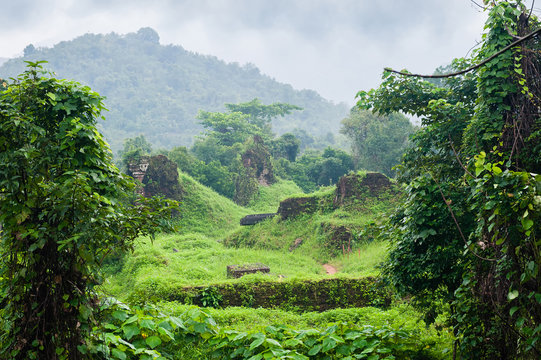 Jungle Vietnam myson area