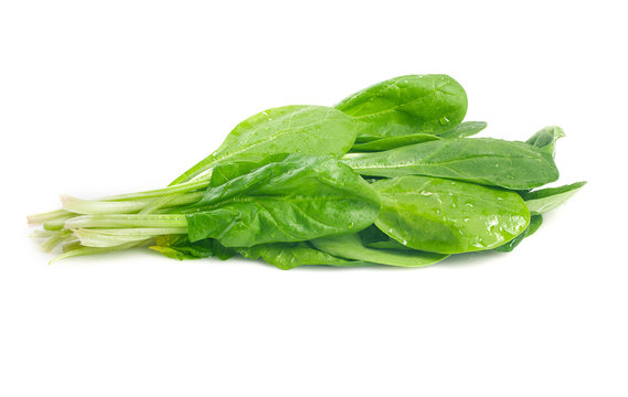 Spinach bunch isolated on white.