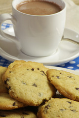 chocolat et cookies 12052015