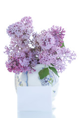 beautiful flowers blooming lilac