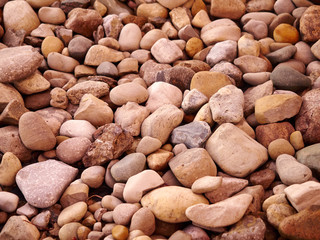 Close Up of Rocks on the ground