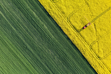 vue aérienne des champs de récolte avec tracteur