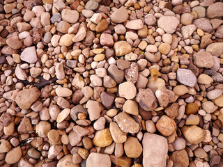 Close Up of Rocks on the ground
