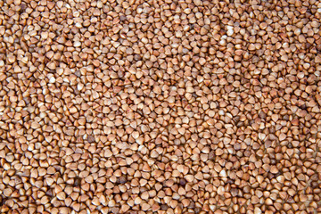 buckwheat