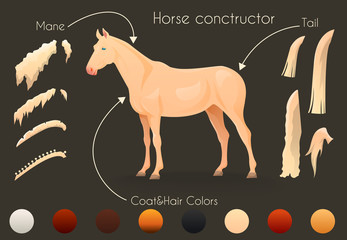 Create your own horse design withconstructor.