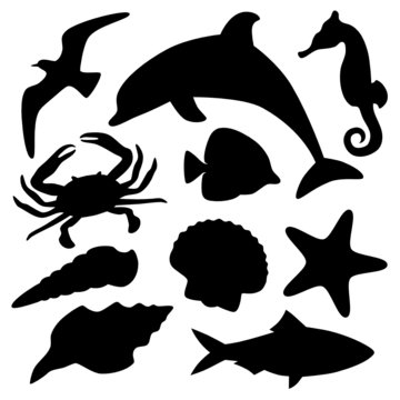 Set of Beach and Marine Animals