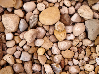 Close Up of Rocks on the ground