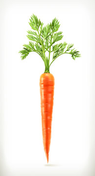 Fresh young carrot, health food, vector icon