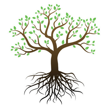 Color tree with roots and green leafs - vector image.