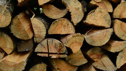 stack fresh cut birch and pine logs