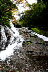 Obraz premium 菊池渓谷