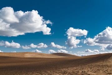Fototapeta premium Butted Farmland Landscape