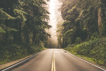 Abwaschbare Fototapete Nebeliger Redwood Highway © peterzayda