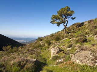 Garganta Eliza. Sierra de Gredos
