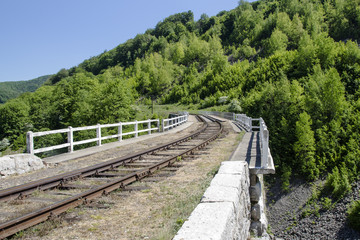 Fototapeta premium Bahnbrücke