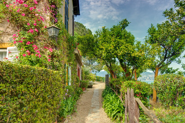 House with a garden in the museum Liguria Italy